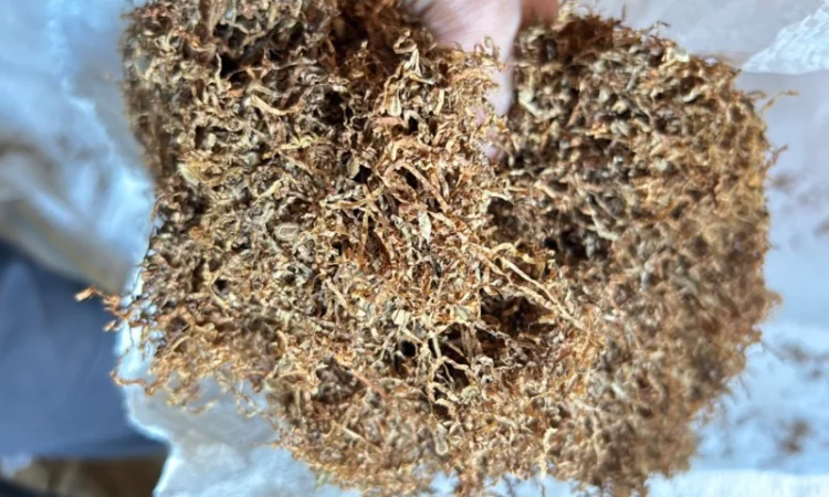 Продам табак для сигарет 1 кг  Вирджиния Голд, Вирджиния (шоколад), Прилуки - фото № 5