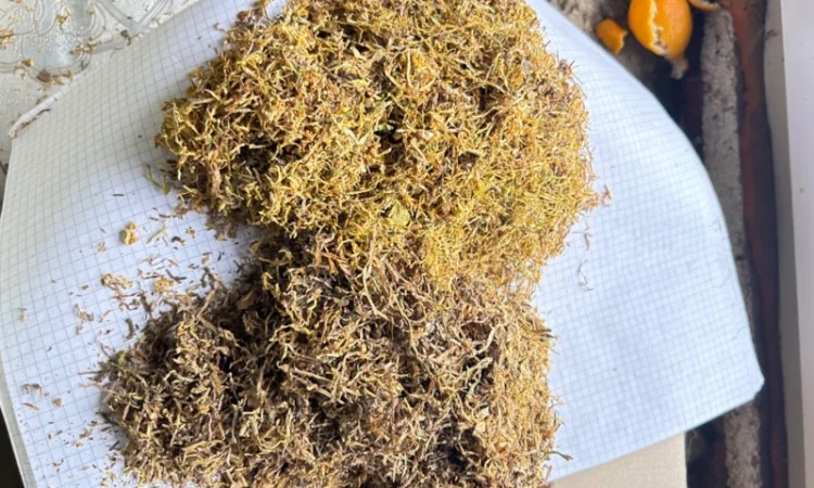 Продам табак для сигарет 1 кг  Вирджиния Голд, Вирджиния (шоколад), Прилуки - фото № 7