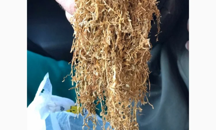 Продам табак Вирджиния для сигарет 1 килограмм - фото № 5