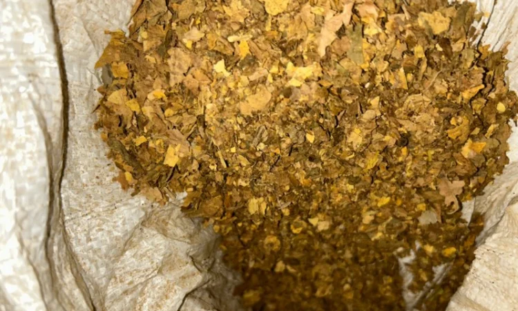 Продам табак Вирджиня для сигарет 1 кг - фото № 5