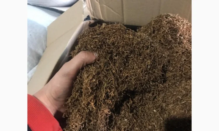 Продам табак Берли, Вирджиния для сигарет 1 кг - фото № 3