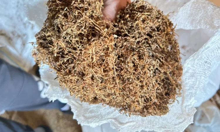 Продам табак оптом імпорт Золоте руно - фото № 3