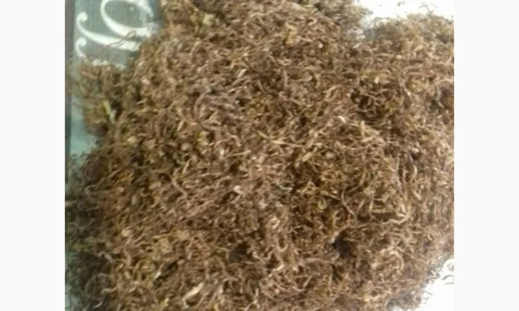 Продам табак Берлей импорт ( Турция ) для самокруток - фото № 4