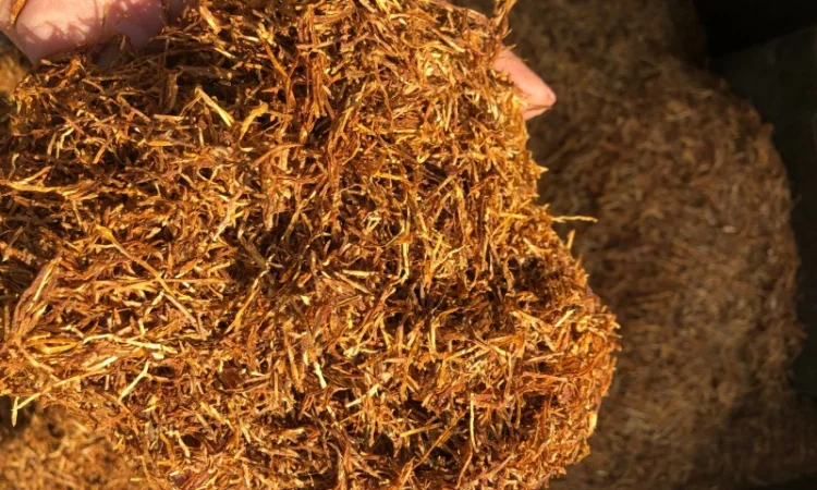 Продам импортный табак для самокруток . Легкий, Средний, Крепкий - фото № 4