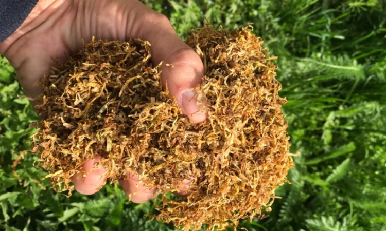 Продам импортный табак для самокруток . Легкий, Средний, Крепкий - фото № 6