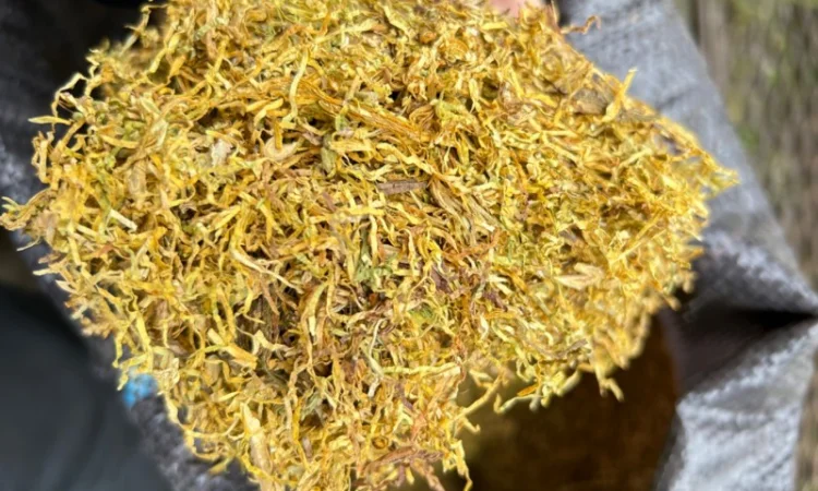 Табак Берли для сигарет 1 кг, с приятным ароматом. Не горчит - фото № 4