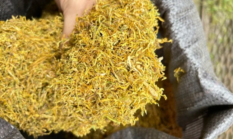 Тютюн оптом «Золоте руно» (імпорт, середня міцність) - фото № 2