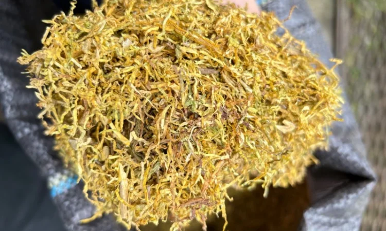 Тютюн оптом «Золоте руно» (імпорт, середня міцність) - фото № 3