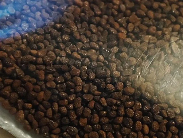 НАСІННЯ махорки / МАХОРКА насіння (100 грам) - фото № 2