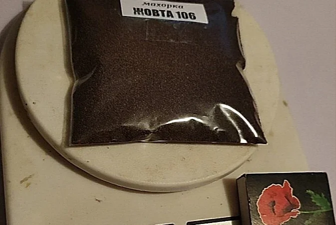 НАСІННЯ махорки / МАХОРКА насіння (100 грам) - фото № 4