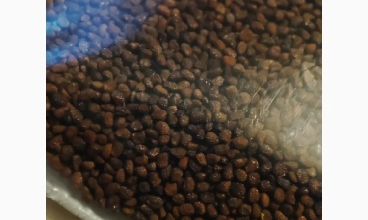 НАСІННЯ махорки / МАХОРКА насіння (50 грам) - фото № 1