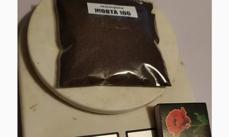 НАСІННЯ махорки / МАХОРКА насіння (50 грам) - фото № 2