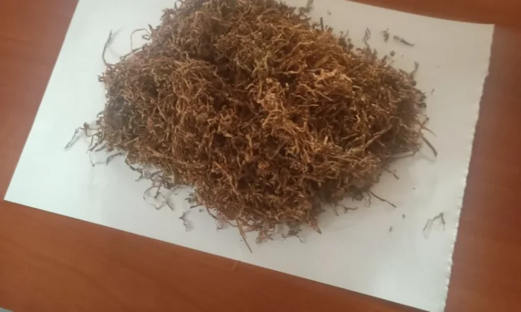 Продам різаний тютюн сорт Вірджінія для самокруток - фото № 1