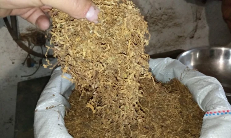 Тюттюн наш берлі - фото № 3