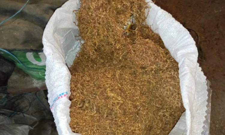 Домашній тютюн на вагу – Берлі, Вірджинія, Дюбек, махорка та самосад - фото № 2