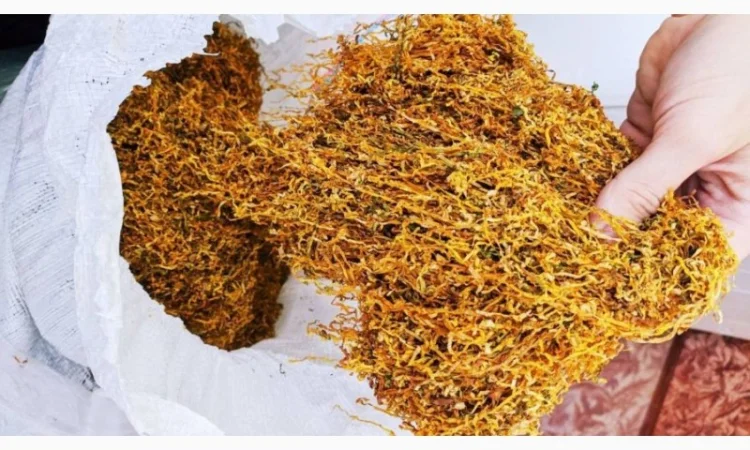 Свежий табак Вирджиния для курения - фото № 4