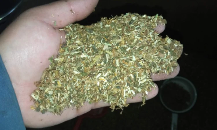 Хароший домашній ооо не пріла сухенька є дюбек і вірджінія - фото № 3