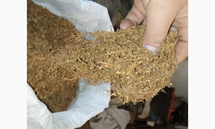 Продам тютюн на вагу — домашній Вірджинія, Дюбек, Берлі, без хімії - фото № 3