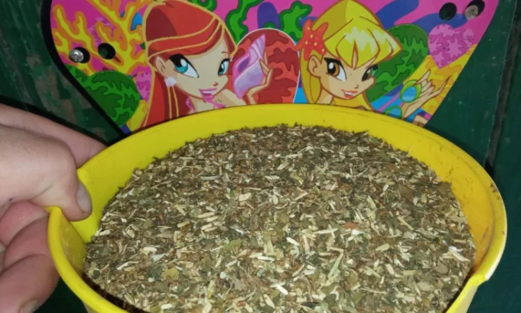 Вирджиния и дюбек – качественный табак для самосада - фото № 2