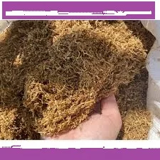 Продам тютюн на вагу — ферментований свіжий урожай Вірджинія, натуральний без хімії - фото № 1