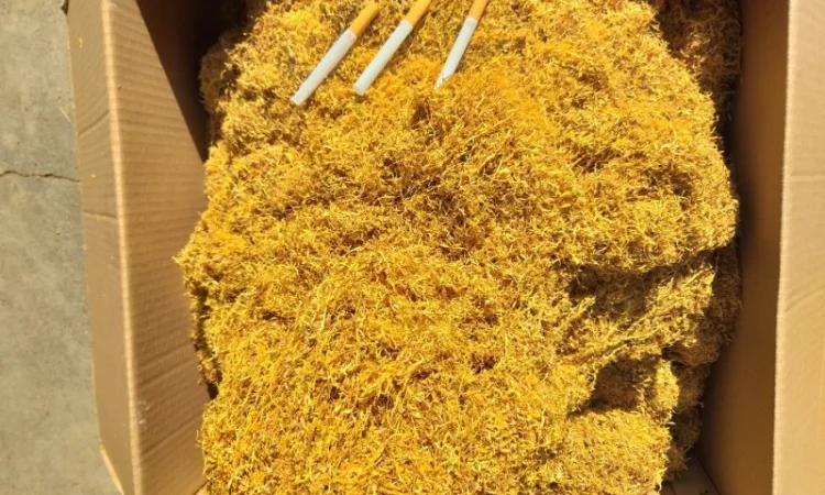 Продам тютюн на вагу — ферментований свіжий урожай Вірджинія, натуральний без хімії - фото № 2