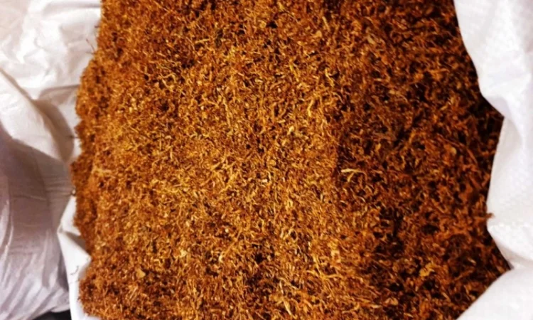 Продам тютю— ферментований відбірний лист нового врожаю, сорти Вірджинія, Дюбек, Берлі, Міленіум - фото № 3