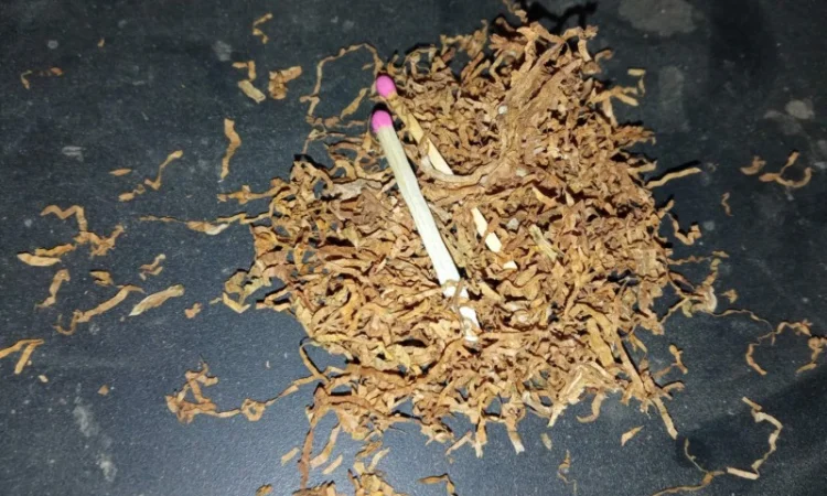 Табак домашній  для сигарет 1 кг ,самосад дюбек, махорка берлі всі свіженькі - фото № 1