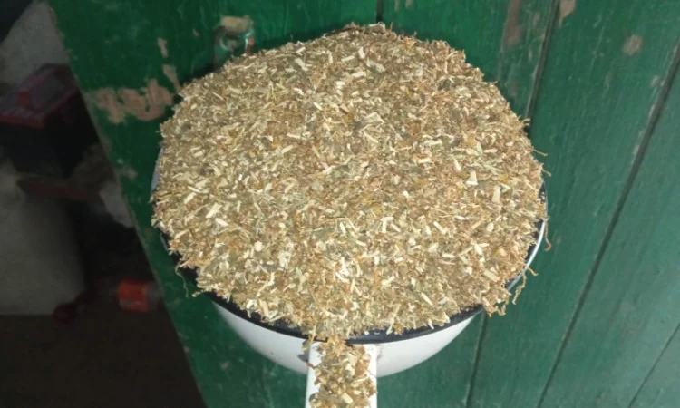 Табак домашній  для сигарет 1 кг ,самосад дюбек, махорка берлі всі свіженькі - фото № 2