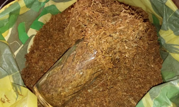 Махорка для самокруток самосад Берлі, Вірджінія - фото № 1