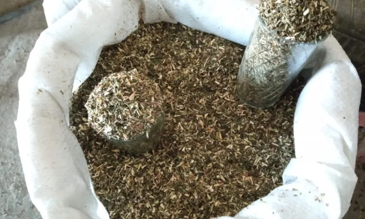 Для сигарет 1 кг,  тютюн, самосад Берлі, Вірджінія. дюбек - фото № 3