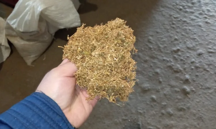 Тютюн   для сигарет 1 кг ,самосад Берлі, Вірджінія. дюбек табак - фото № 1