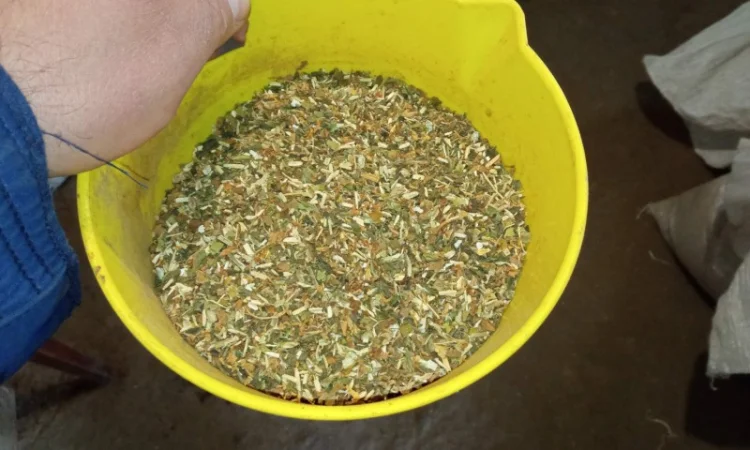 Тютюн   для сигарет 1 кг ,самосад Берлі, Вірджінія. дюбек табак - фото № 2