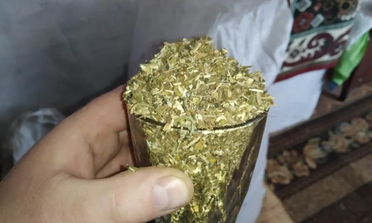 Махорка  для трубки і табаки з власного города Берлі, Дюбек - фото № 4