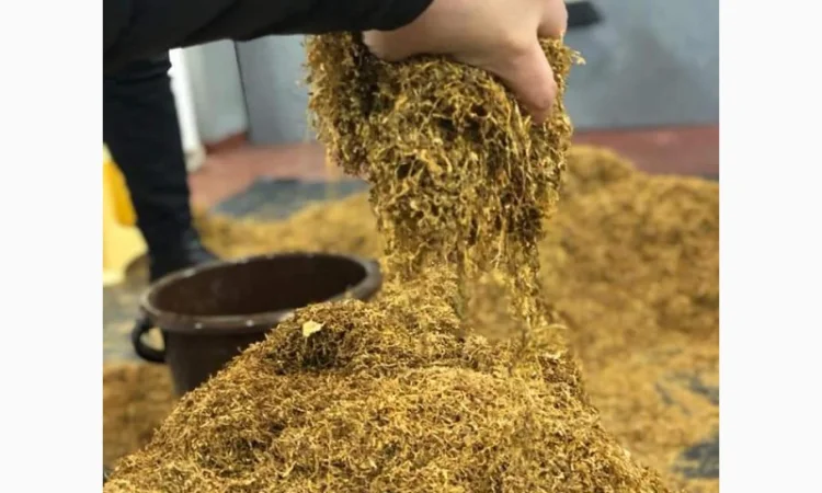 Тютюн для сигарет 1 кг ,  свіжий після ферментації Берлі, Дюбек, Вірджінія, Мілєніум. врожай 2022 - фото № 2