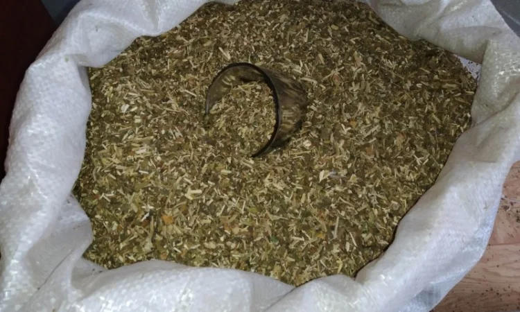 Є хароший домашній тютюнець і махорка отлічна для сигарет 1 кг - фото № 5