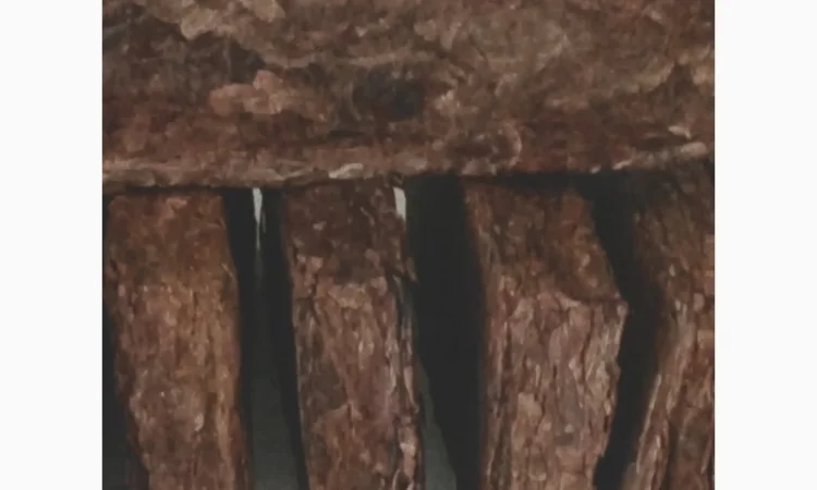 Плаги для трубки,Табак для трубки - фото № 2