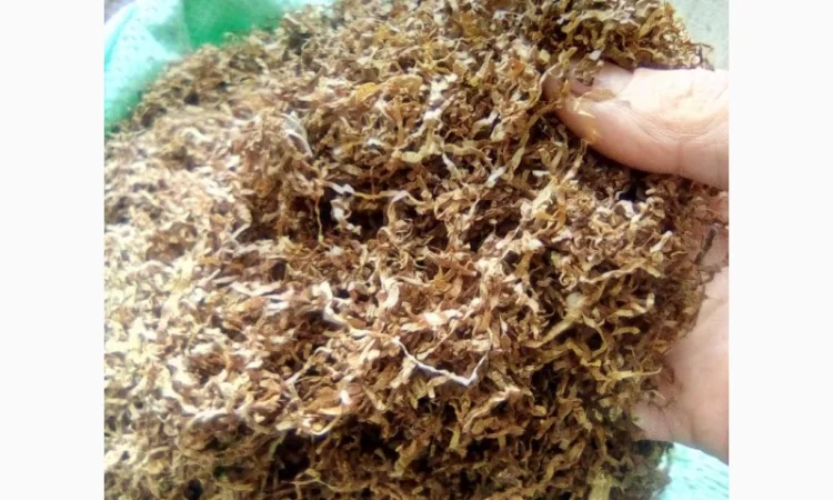 Табак паутинка фабрика для самокруток - фото № 1