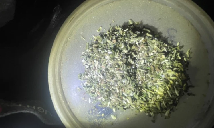 Продам самосад/махорку без пилу та мусору для самокруток - фото № 3