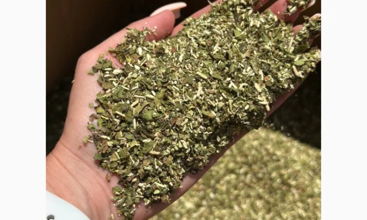 Продам самосад/махорку без пилу та мусору ОПТ - фото № 2