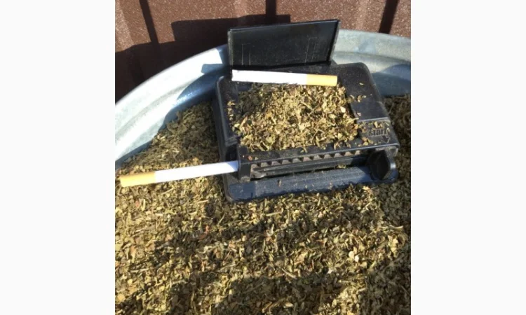 Махорка Виргун домашний самосад  для самокруток - фото № 3