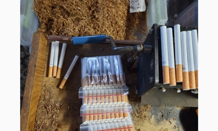 Тютюн, табак для трубки . Домашній, свій табак ароматный, добрий - фото № 2