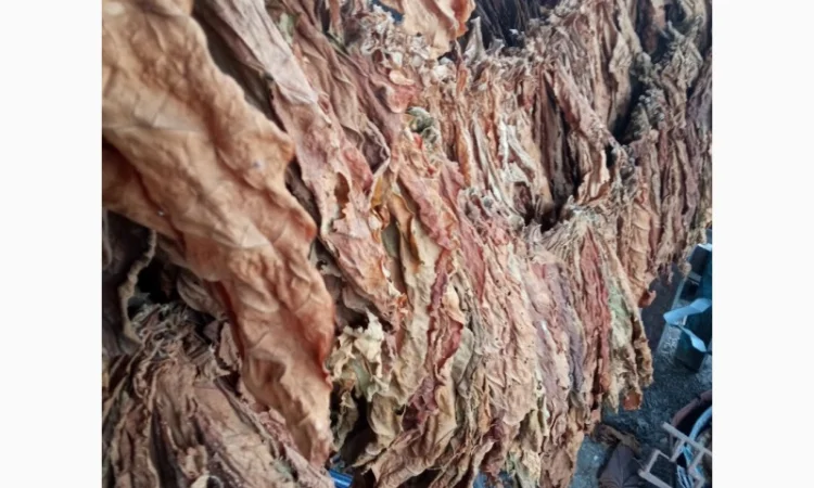 Тютюн листовий для сигарет 1 кг , ціна - фото № 2