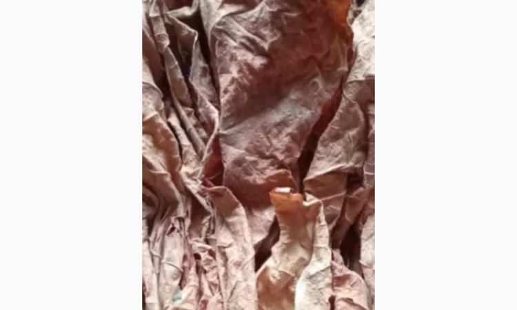 Тютюн листовий для сигарет 1 кг , ціна - фото № 4