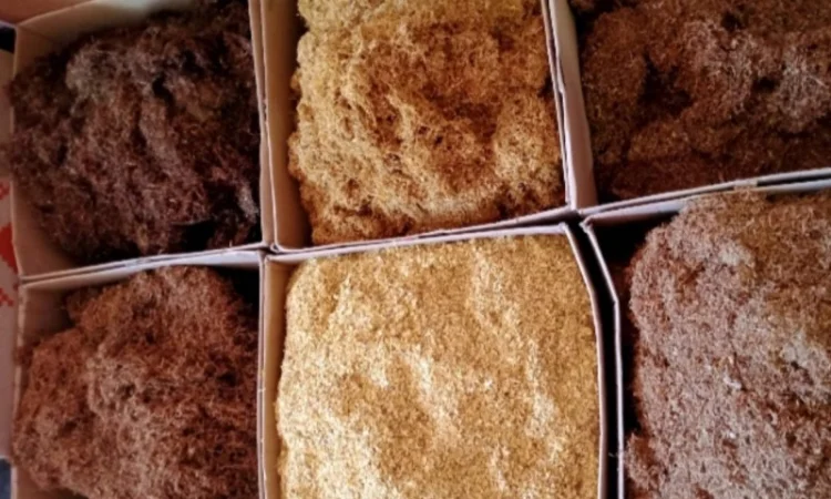 Чістий Табак для трубки - фото № 2