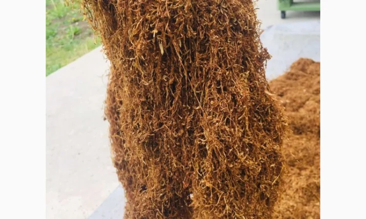 Тютюн   для самокруток найкращої якості - фото № 15