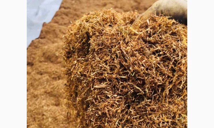 Тютюн   для самокруток найкращої якості - фото № 6