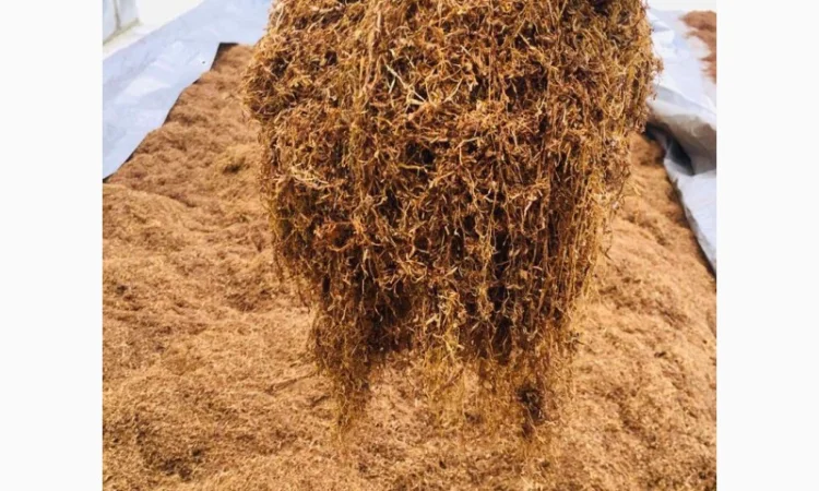 Тютюн   для самокруток найкращої якості - фото № 9