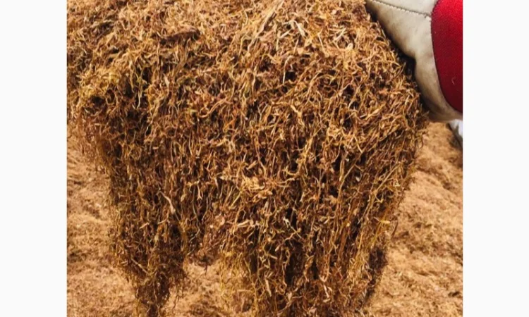 Продам табак  для самокруток - фото № 10