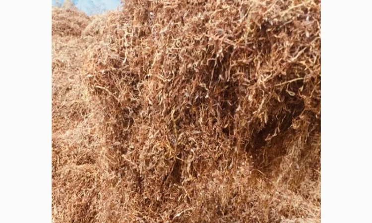 Продам табак  для самокруток - фото № 5