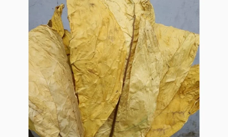 Продам різаний тютюн  для сигарет 1 кг - фото № 5